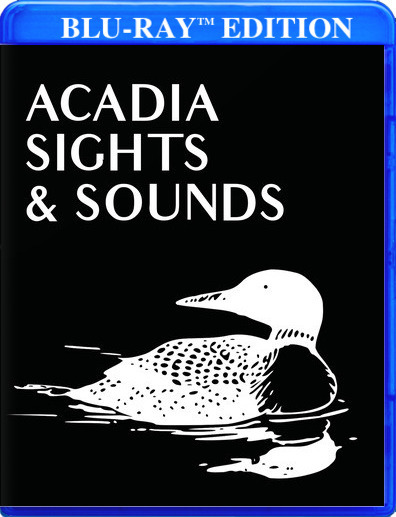 Acadia Sights & Sounds 