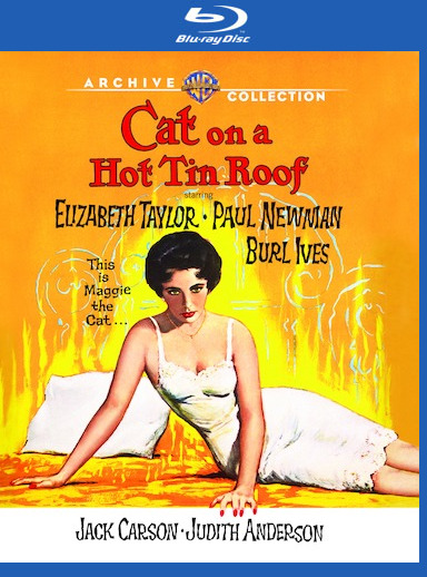 Cat On A Hot Tin Roof 