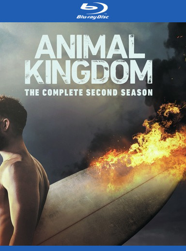 Animal Kingdom: The Complete Second Season 